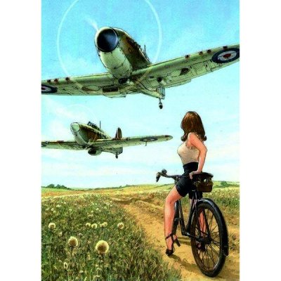 RT 25 Hliníkový poster s motivem letounu Spitfire